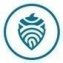 Acorn Collective