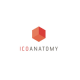 ICO Anatomy