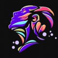 Sapien Network Inc.